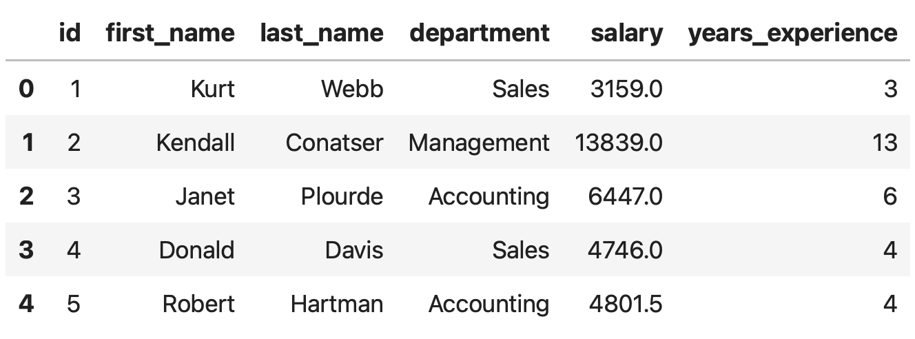 Image 7 - Head of the employees dataset